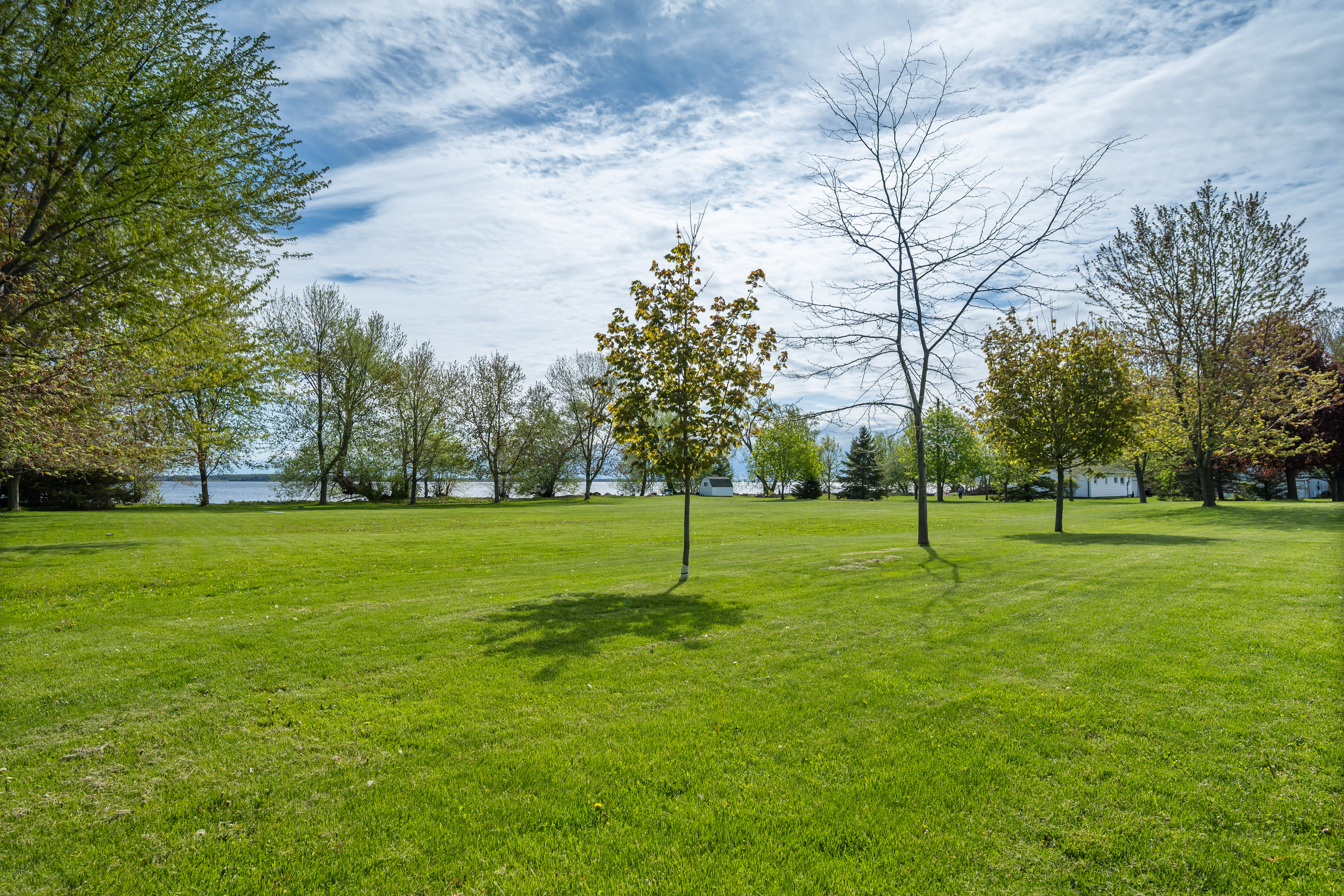 Lawn meeting the Lake Ontario shoreline on the building lot